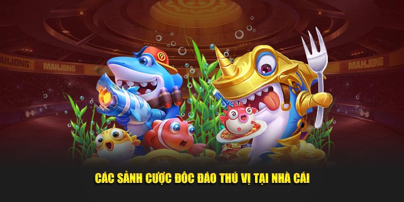 Các sảnh cược độc đáo thú vị tại nhà cái