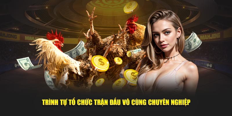Trình tự tổ chức trận đấu vô cùng chuyên nghiệp