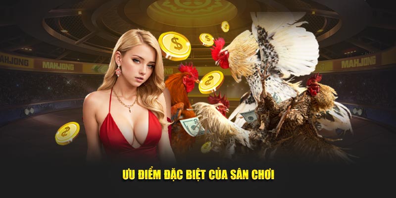Ưu điểm đặc biệt của sân chơi